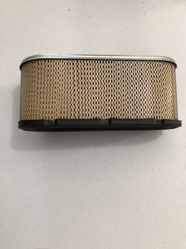 Briggs & Stratton 496894S Air Filter Shanova Parts