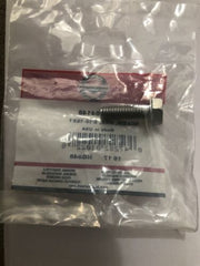Briggs & Stratton Genuine 704146 SCREW HEX 5/16-18X1 Replacement Part Shanova Parts